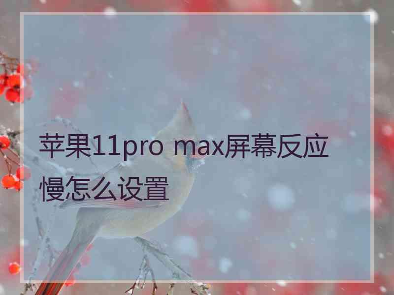 苹果11pro max屏幕反应慢怎么设置