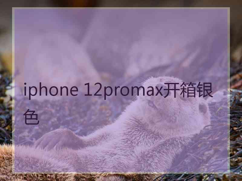 iphone 12promax开箱银色