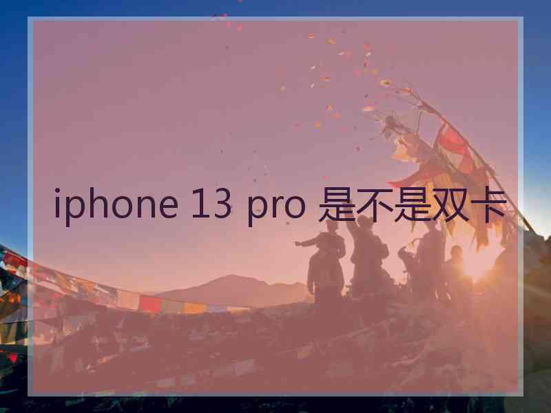 iphone 13 pro 是不是双卡