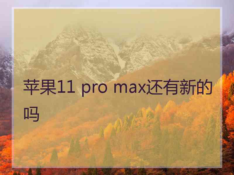 苹果11 pro max还有新的吗