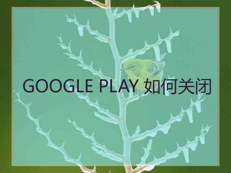 GOOGLE PLAY 如何关闭