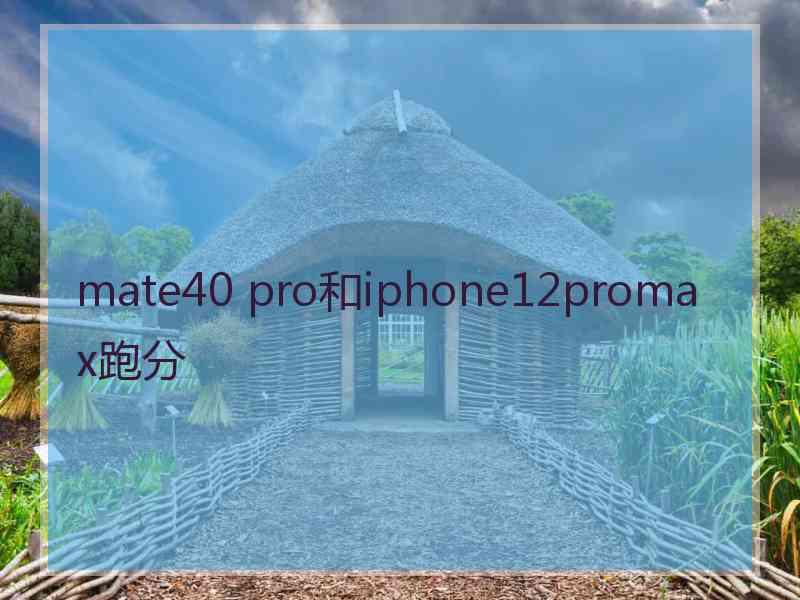 mate40 pro和iphone12promax跑分