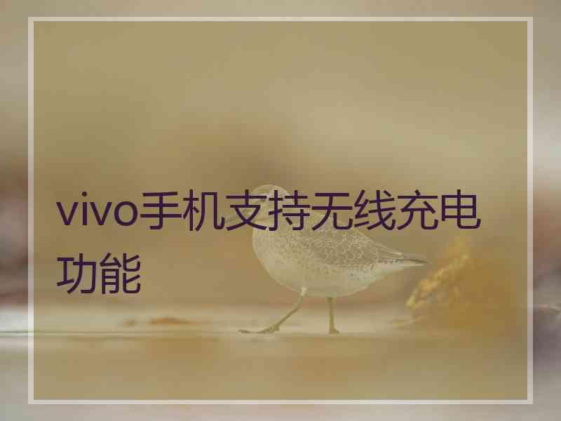 vivo手机支持无线充电功能