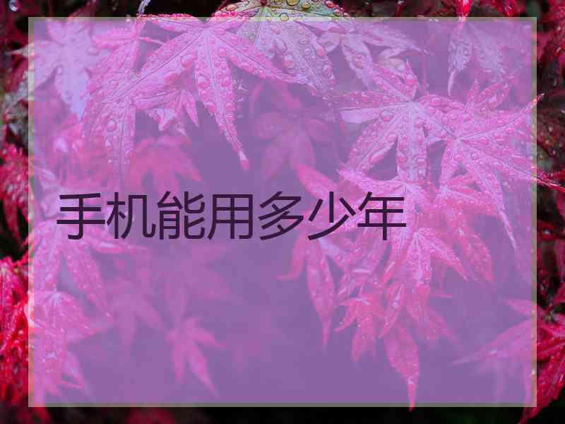 手机能用多少年