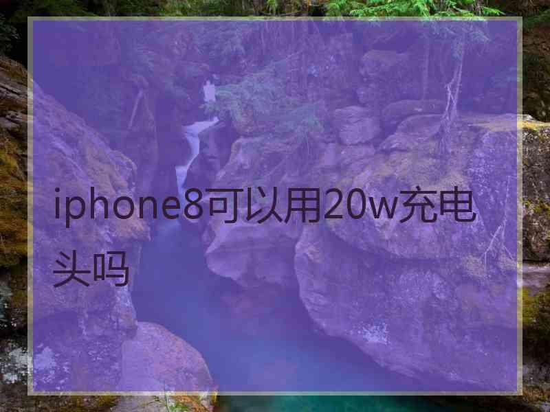 iphone8可以用20w充电头吗