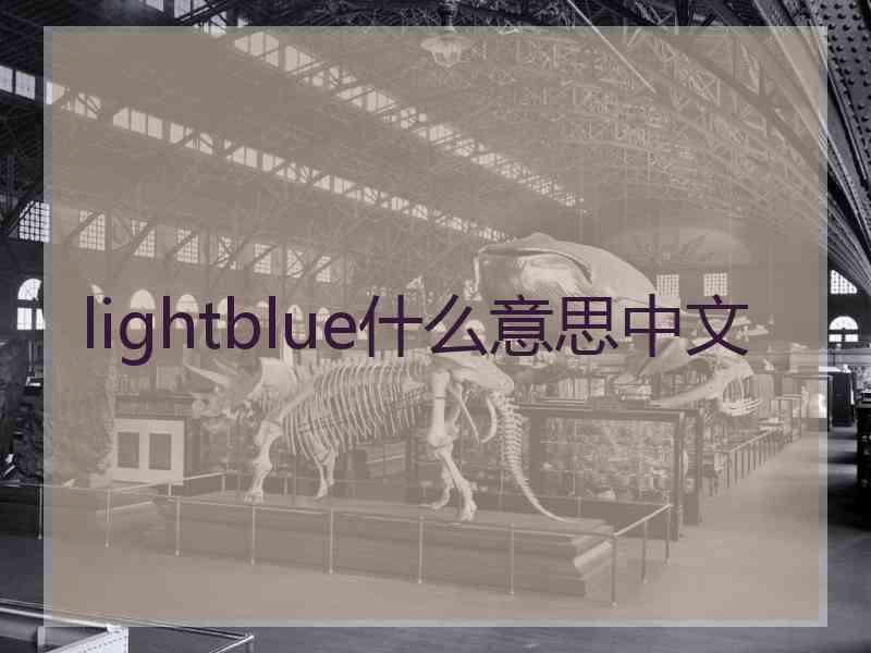 lightblue什么意思中文