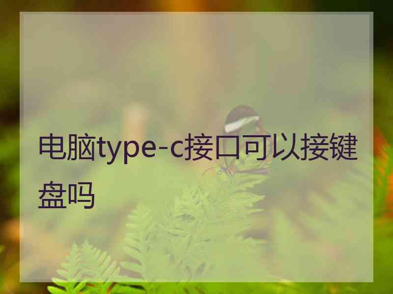 电脑type-c接口可以接键盘吗