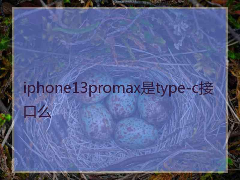 iphone13promax是type-c接口么