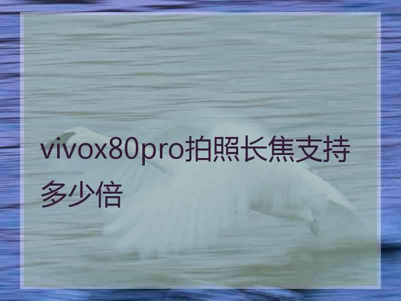 vivox80pro拍照长焦支持多少倍