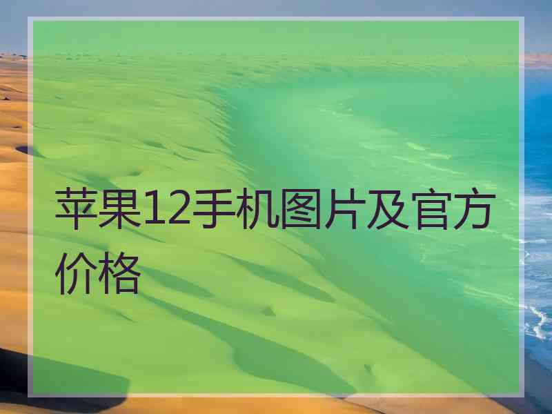 苹果12手机图片及官方价格