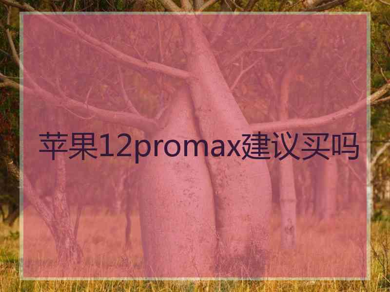 苹果12promax建议买吗