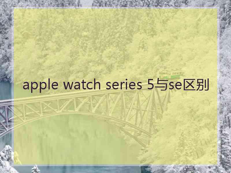 apple watch series 5与se区别