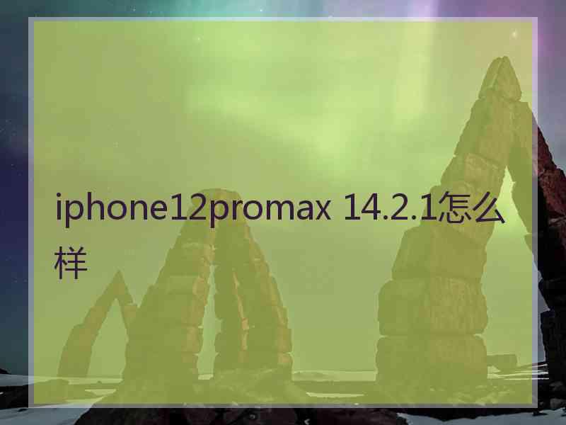 iphone12promax 14.2.1怎么样