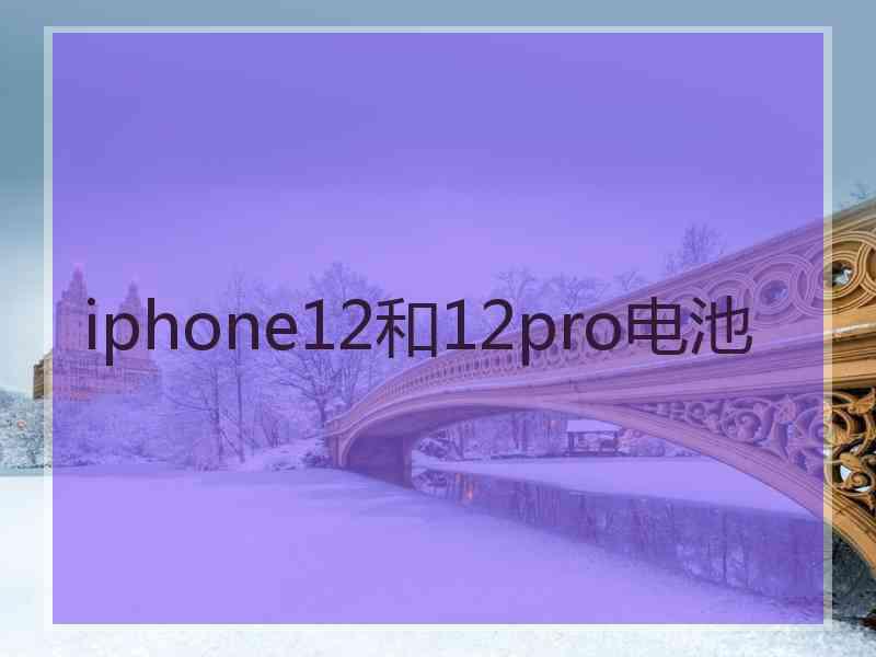 iphone12和12pro电池