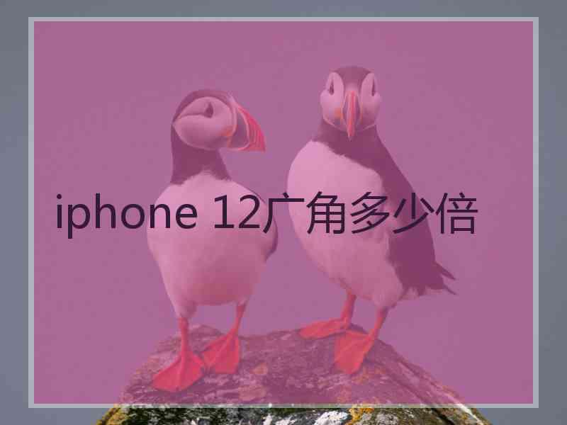 iphone 12广角多少倍