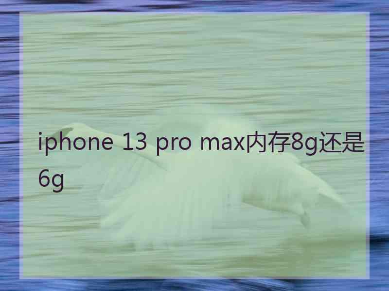 iphone 13 pro max内存8g还是6g