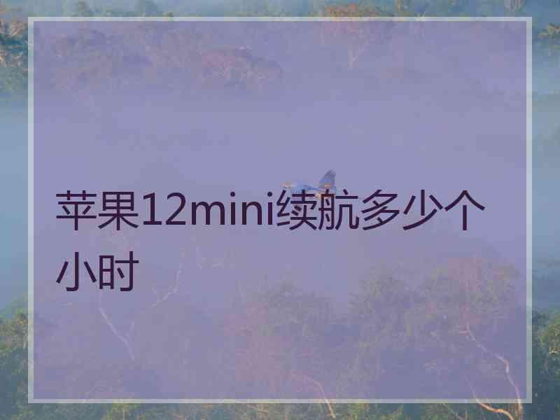 苹果12mini续航多少个小时