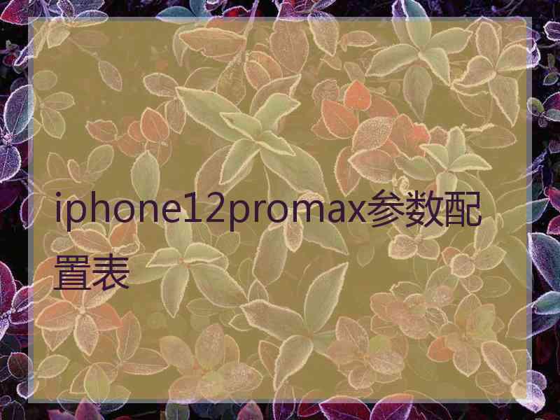 iphone12promax参数配置表