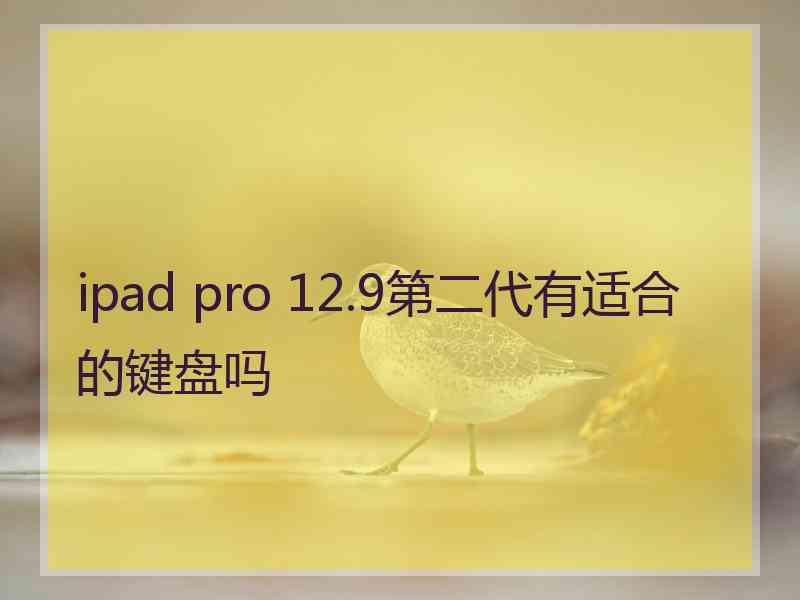 ipad pro 12.9第二代有适合的键盘吗