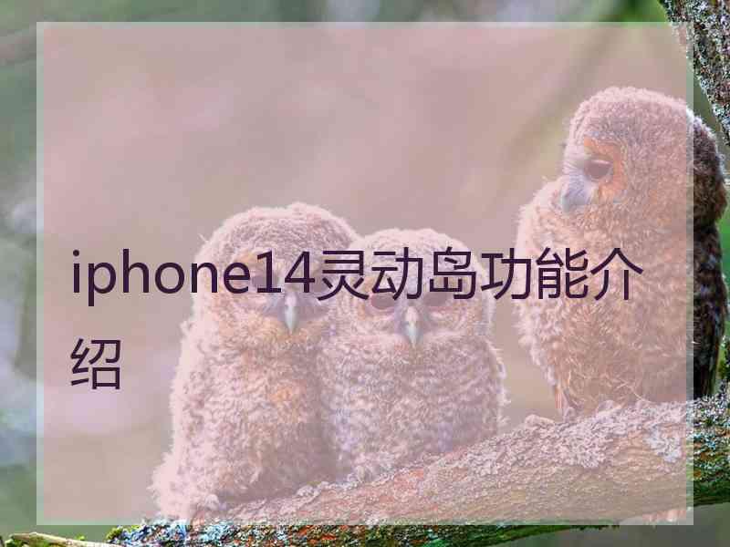 iphone14灵动岛功能介绍