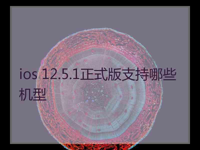 ios 12.5.1正式版支持哪些机型