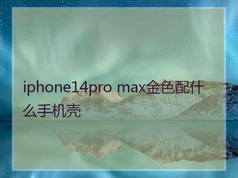 iphone14pro max金色配什么手机壳