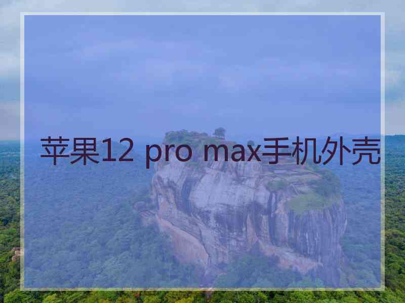 苹果12 pro max手机外壳