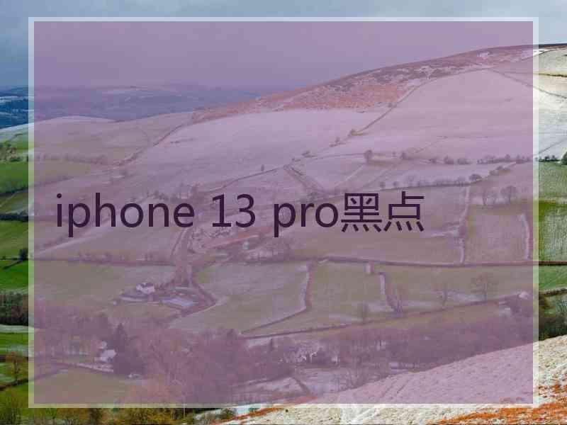 iphone 13 pro黑点