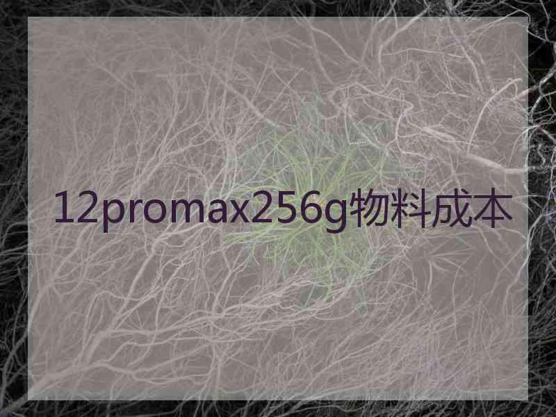 12promax256g物料成本