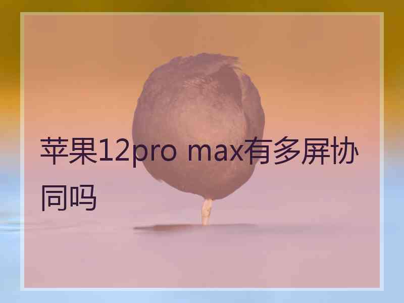 苹果12pro max有多屏协同吗