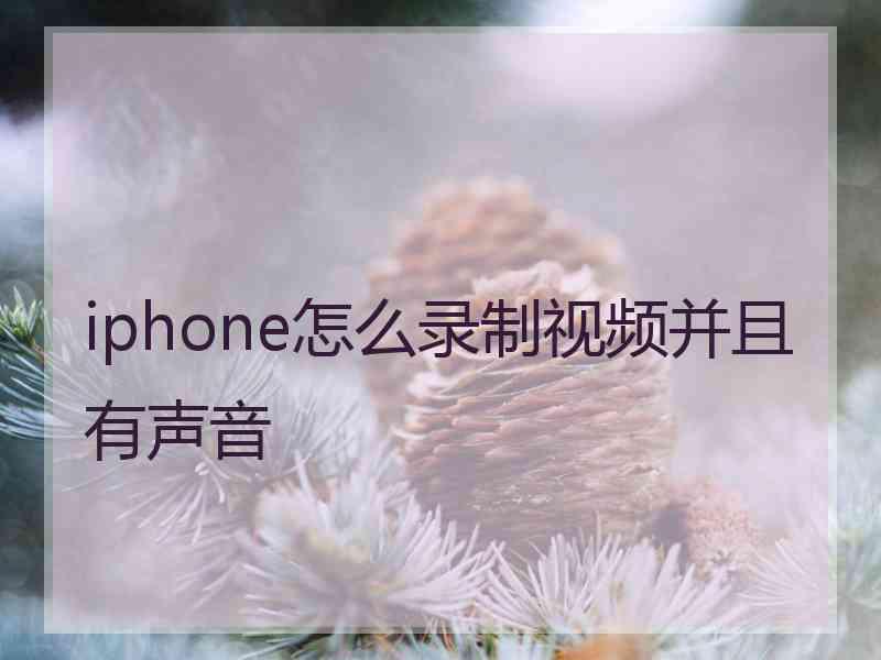 iphone怎么录制视频并且有声音