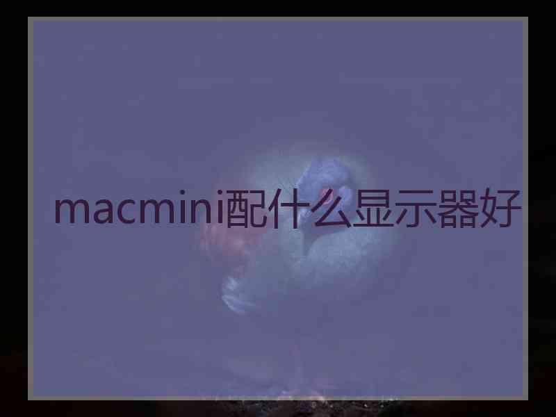 macmini配什么显示器好