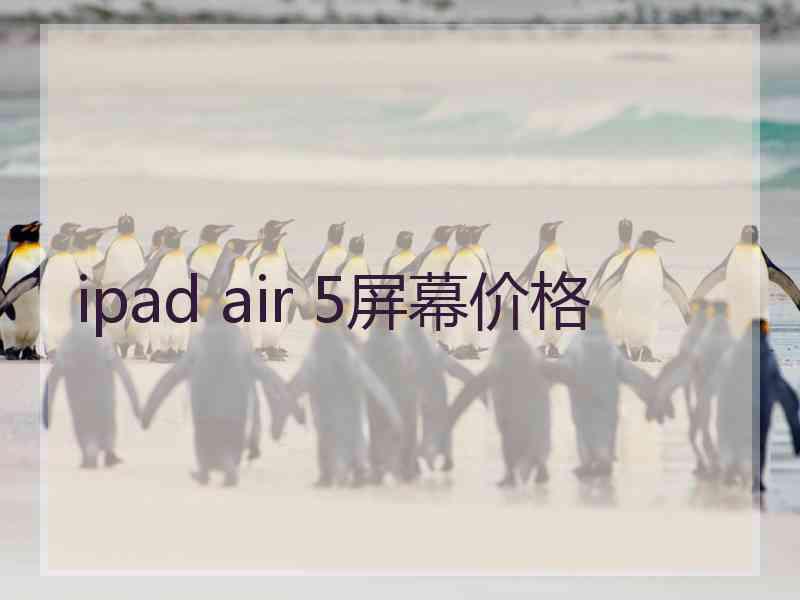 ipad air 5屏幕价格