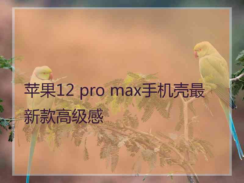 苹果12 pro max手机壳最新款高级感