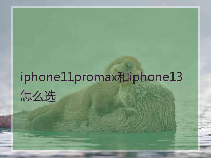 iphone11promax和iphone13怎么选