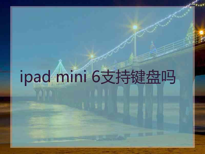 ipad mini 6支持键盘吗