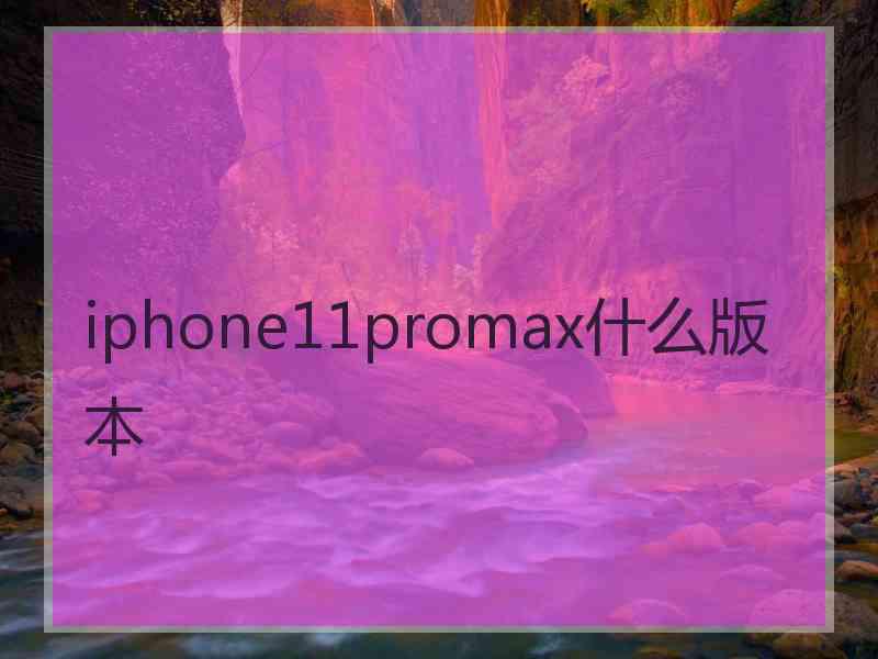 iphone11promax什么版本