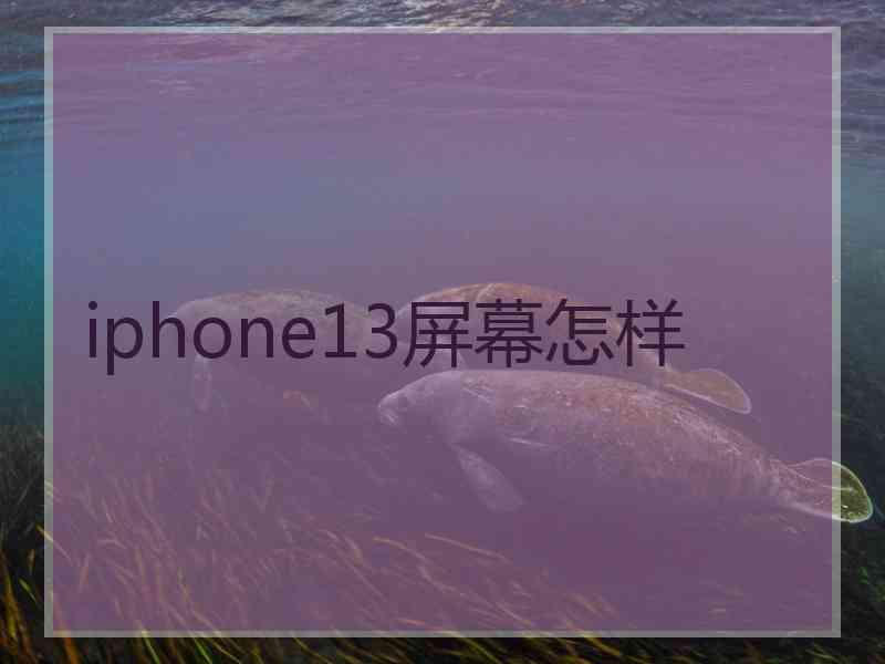 iphone13屏幕怎样