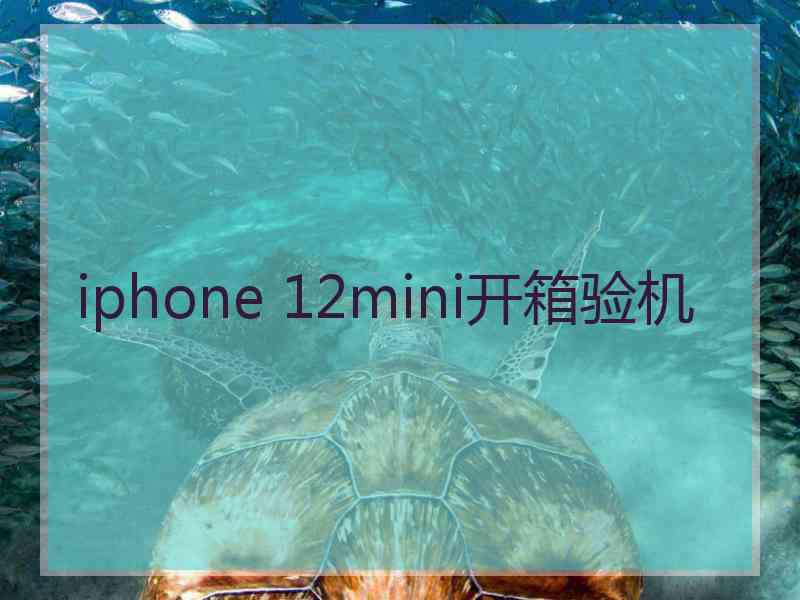 iphone 12mini开箱验机