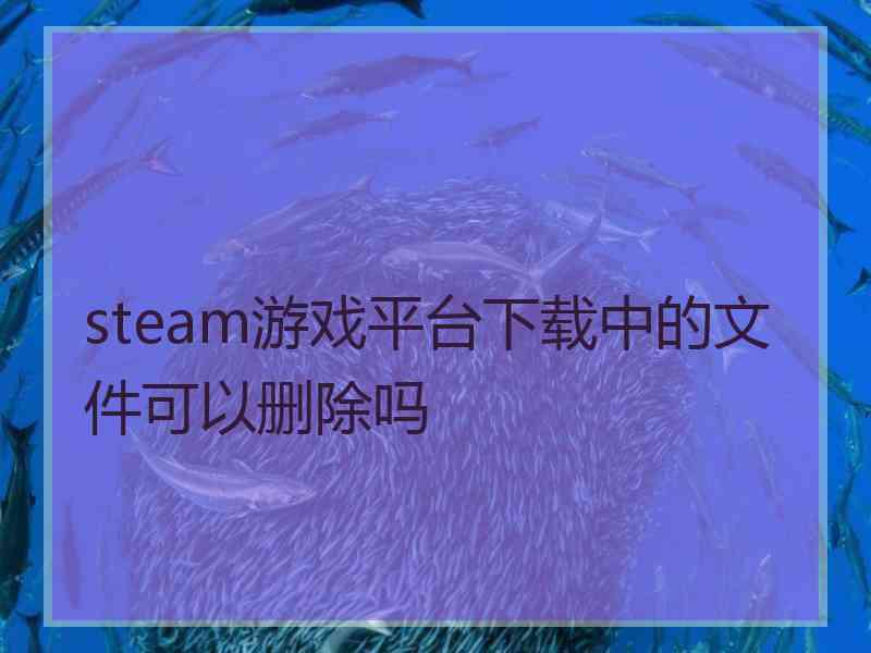 steam游戏平台下载中的文件可以删除吗