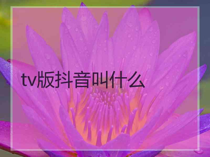 tv版抖音叫什么