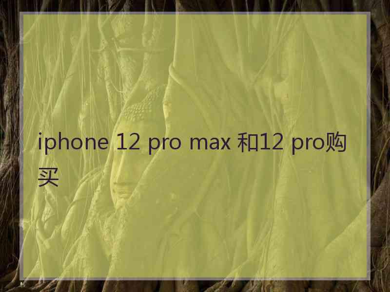 iphone 12 pro max 和12 pro购买