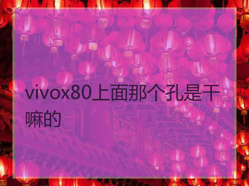 vivox80上面那个孔是干嘛的