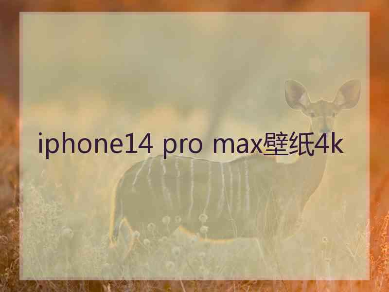 iphone14 pro max壁纸4k