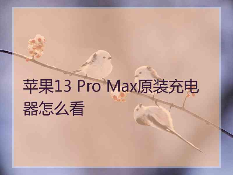 苹果13 Pro Max原装充电器怎么看