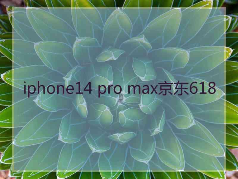 iphone14 pro max京东618