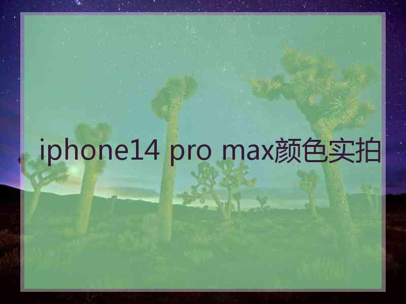 iphone14 pro max颜色实拍