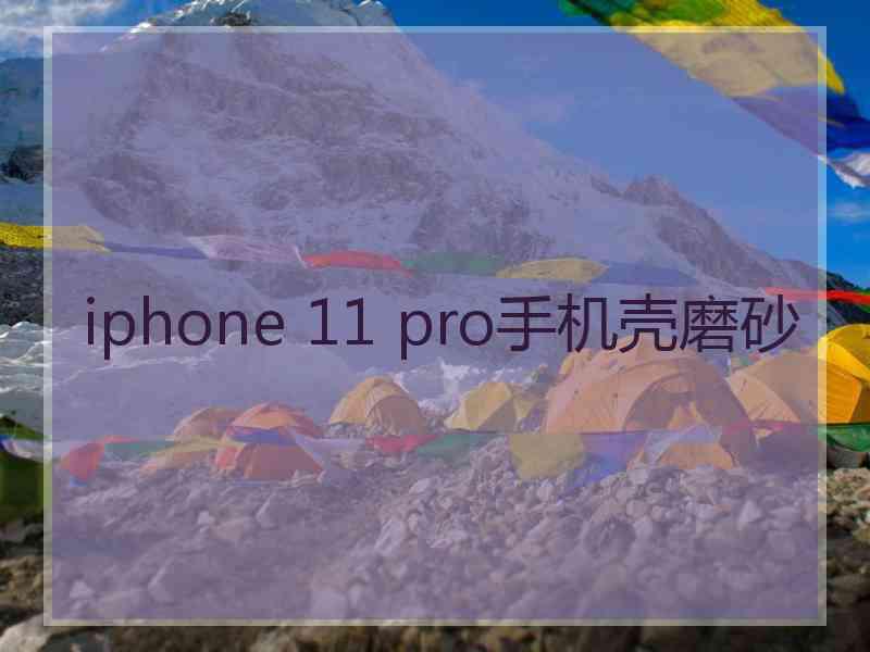 iphone 11 pro手机壳磨砂