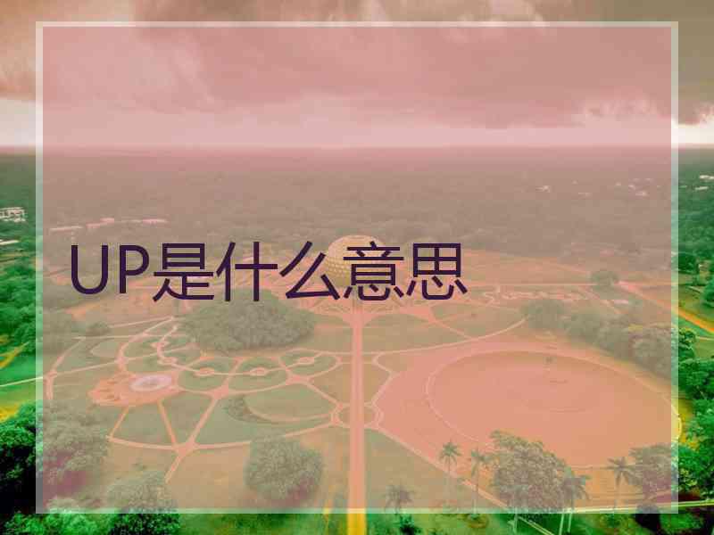 UP是什么意思