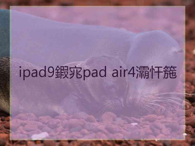 ipad9鍜宨pad air4灞忓箷